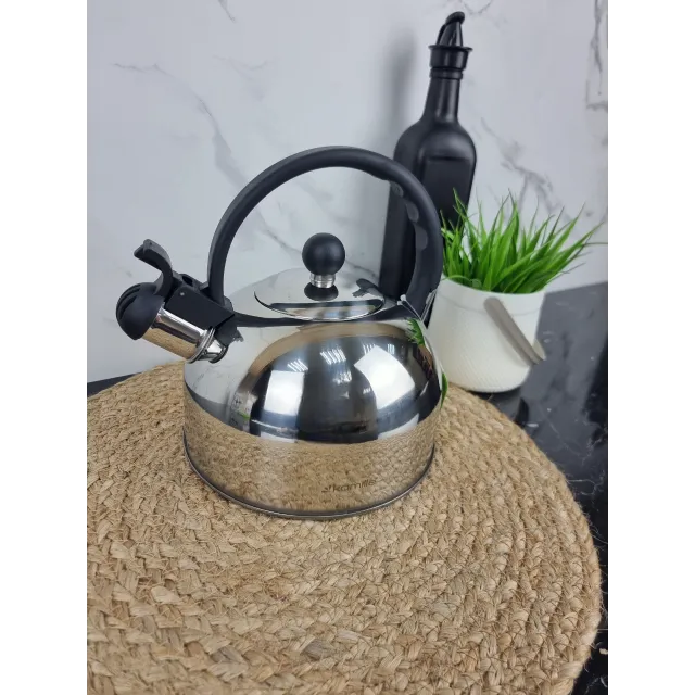 Чайник 2.5л со свистком нерж.сталь ручка черный бакелит 0679 ᐉ 0679 - Kamille - класная цена в ProPosud