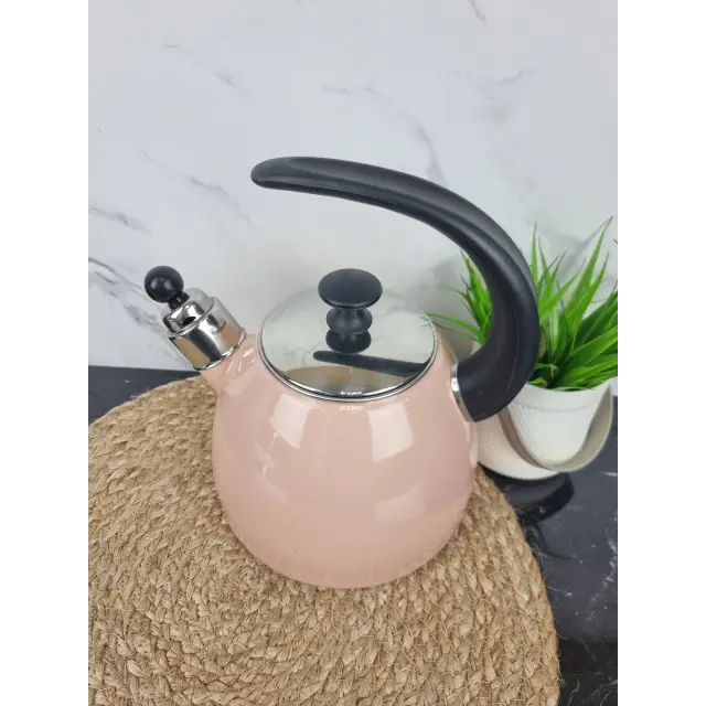 Чайник 2,5л зі свистком емаль 1040B ᐉ 1040B - Kamille - класна ціна в ProPosud