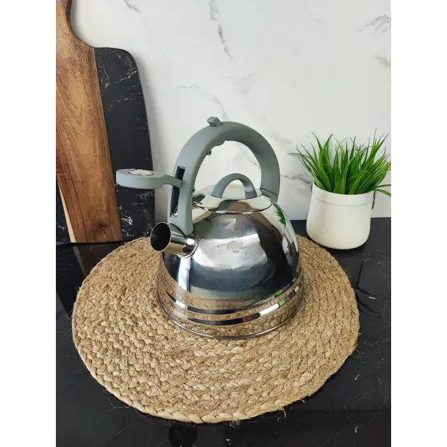 Чайник 2,5л зі свистком нерж.сталь MR-1304 ᐉ MR-1304 - - класная цена в ProPosud