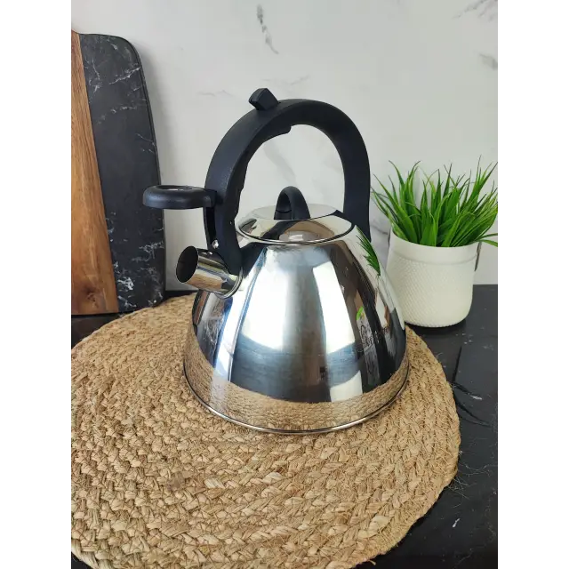 Чайник 2,5л зі свистком нерж.сталь MR-1314 ᐉ MR-1314 - - класна ціна в ProPosud