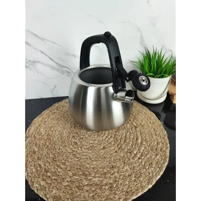 Чайник 2,5л зі свистком нерж.сталь MR-1318 ᐉ MR-1318 - - класна ціна в ProPosud