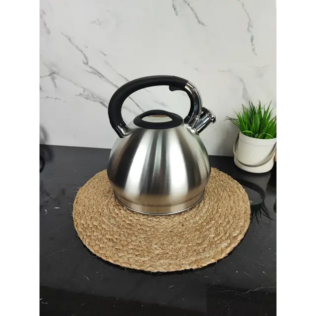 Чайник 4,3л зі свистком нерж.сталь MR-1319 ᐉ MR-1319 - - класная цена в ProPosud