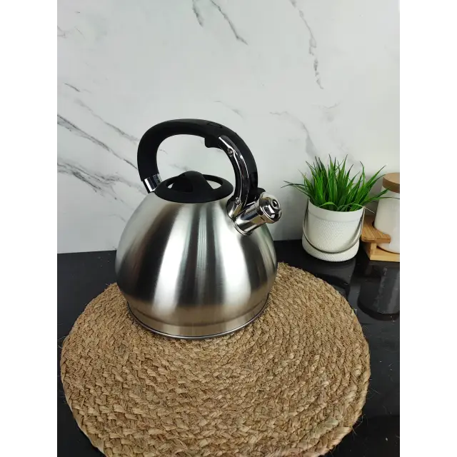 Чайник 4,3л зі свистком нерж.сталь MR-1319 ᐉ MR-1319 - - класная цена в ProPosud