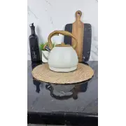 ZB-15/3 Чайник 3,0л зі свистком нерж.сталь коричнева ручка бакеліт ᐉ ZB-15/3 - - класна ціна в ProPosud